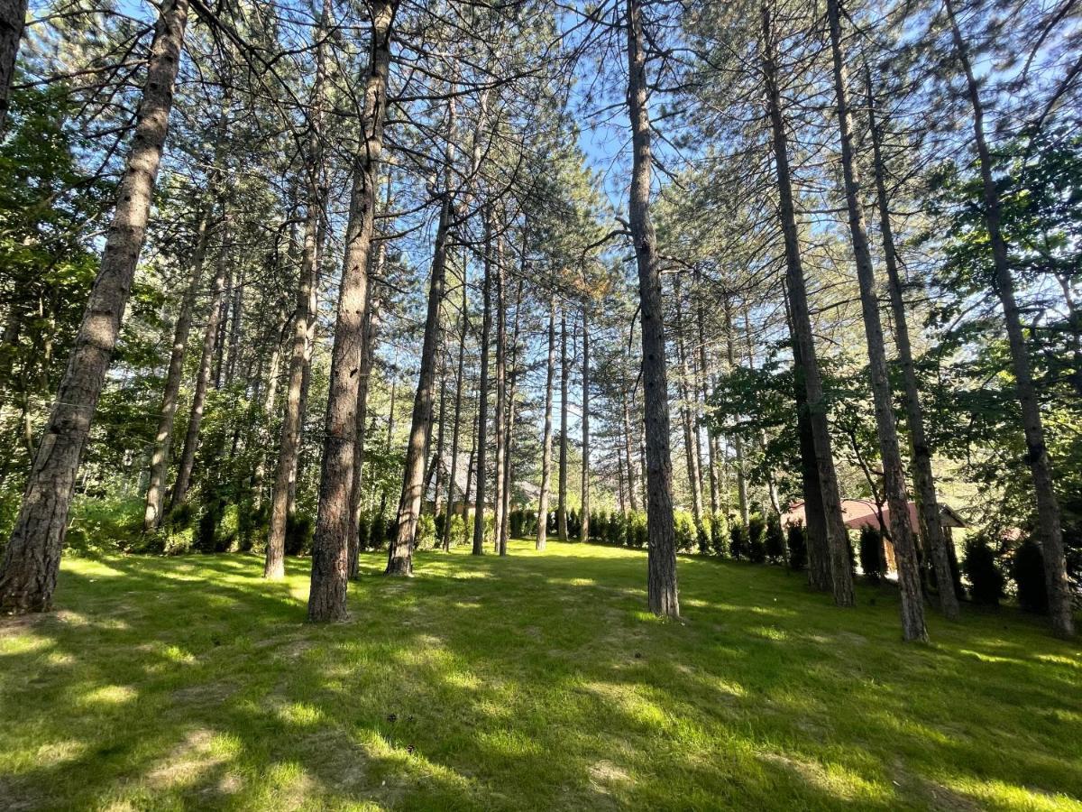 Apartments Micic Zlatibor Exterior photo